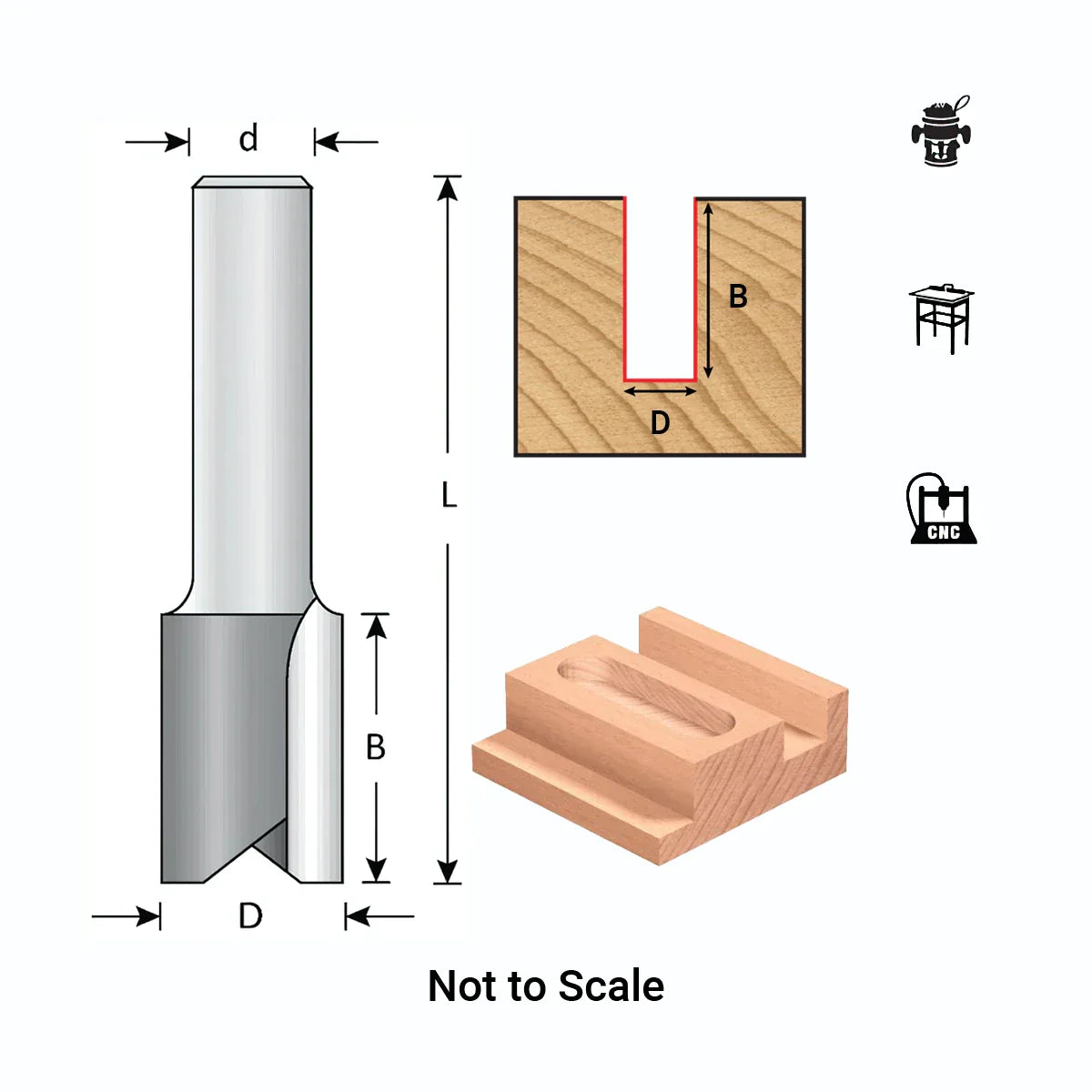 5mm Diameter, Carbide Tipped, Straight Bit, 2 Flute, 1/4" Shank, 2" Length